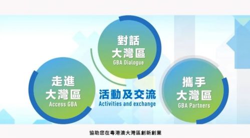 粵港澳大灣區(qū)青年創(chuàng)業(yè)線上交流會在穗舉行 聚焦信息技術咨詢服務發(fā)展